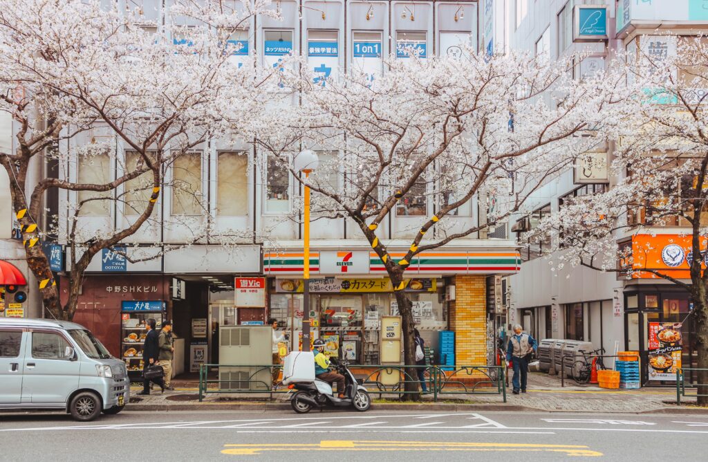 japan cherry blossom forecast 2026 sakura