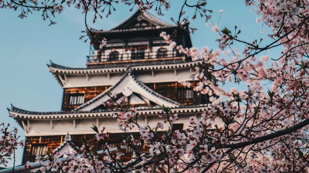 japan cherry blossom forecast 2026 sakura