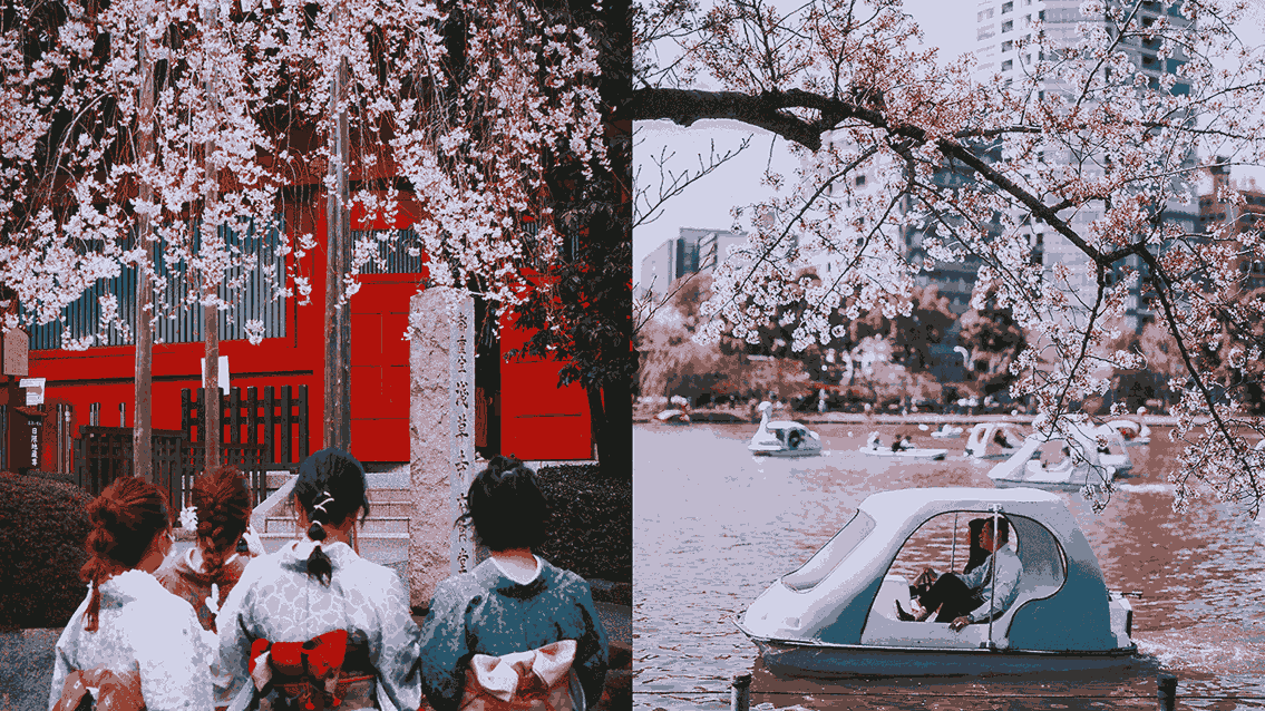 🇦🇺-YTAU-blogheader-japan-