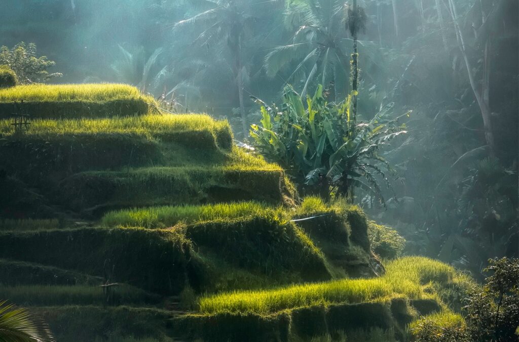 best time to visit bali weather