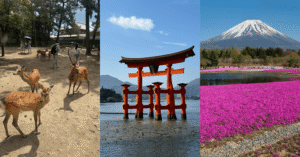 Can YouTrip Be Used in Japan? (2026 Guide for Aussie Travellers)