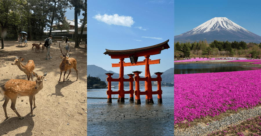 Can YouTrip Be Used in Japan? (2026 Guide for Aussie Travellers)