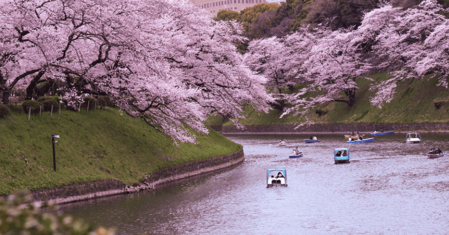 Can YouTrip Be Used in Japan? (2026 Guide for Aussie Travellers)