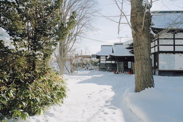 Things to do in Osaka: Winter