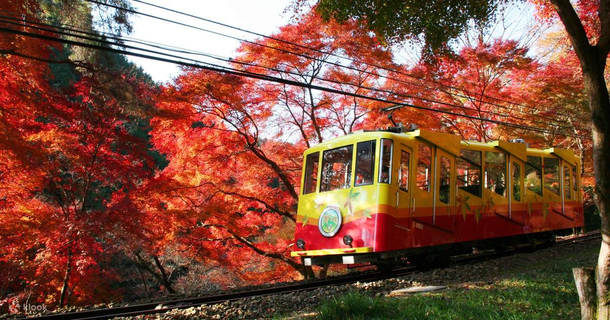 things to do in tokyo: mt takao