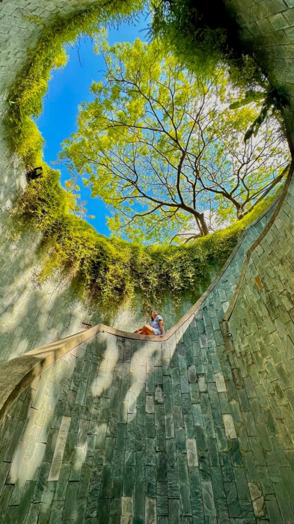 things to do in singapore: fort canning park tree tunnel