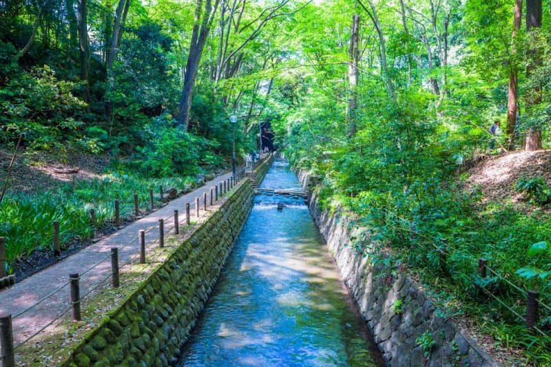 things to do in tokyo: todoroki valley