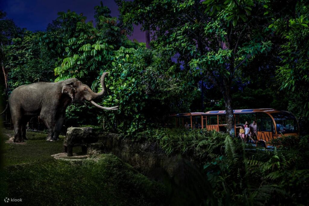 things to do in singapore: singapore zoo night safari