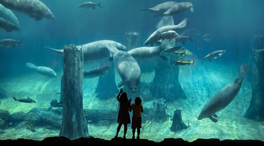 things to do in singapore: river wonders