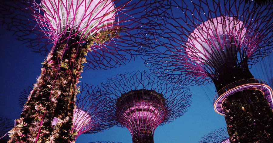 things to do in singapore: gardens by the bay