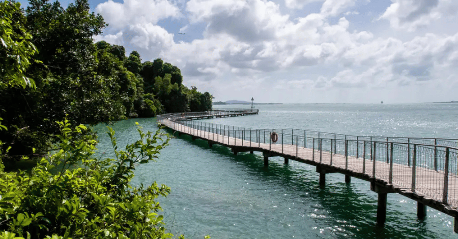 things to do in singapore: pulau ubin