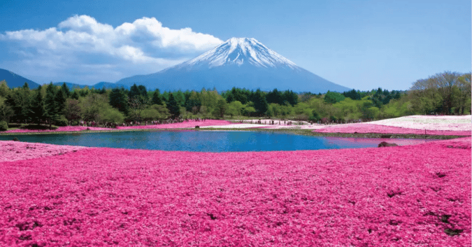 things to do in tokyo: mt fuji and the fuji five lakes