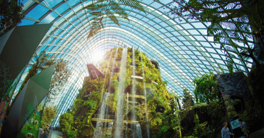 things to do in singapore: gardens by the bay