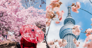 things to do in tokyo
