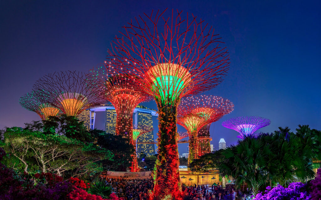 things to do in singapore: garden rhapsody at supertree grove