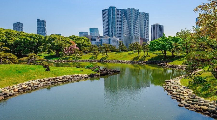 things to do in tokyo: hama-rikyu garden