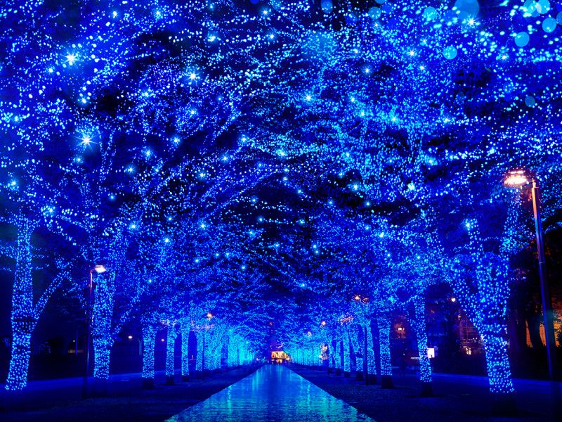 things to do in tokyo: tokyo midtown winter illuminations
