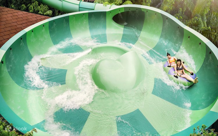 things to do in singapore: adventure cove waterpark