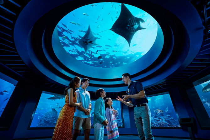 things to do in singapore: oceanarium