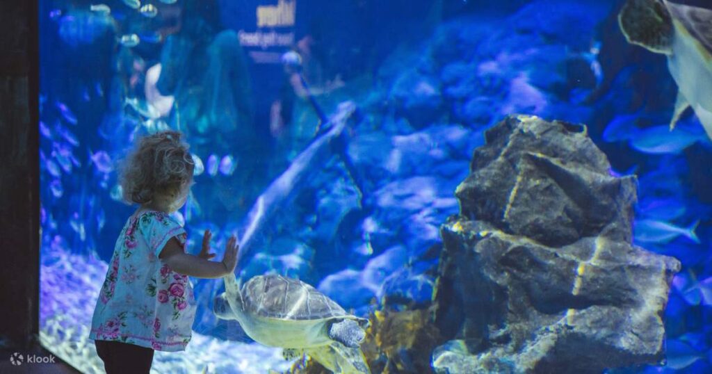 SEA LIFE Kelly Tarlton's aquarium in Auckland