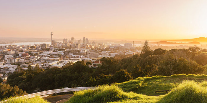View from the grassy summit crater of Maungawhau / Mount Eden over Auckland