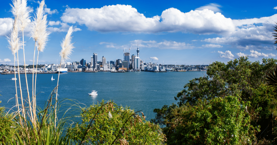 Auckland city skyline and Sky Tower across the Waitematā Harbour, framed by tall grasses and greenery