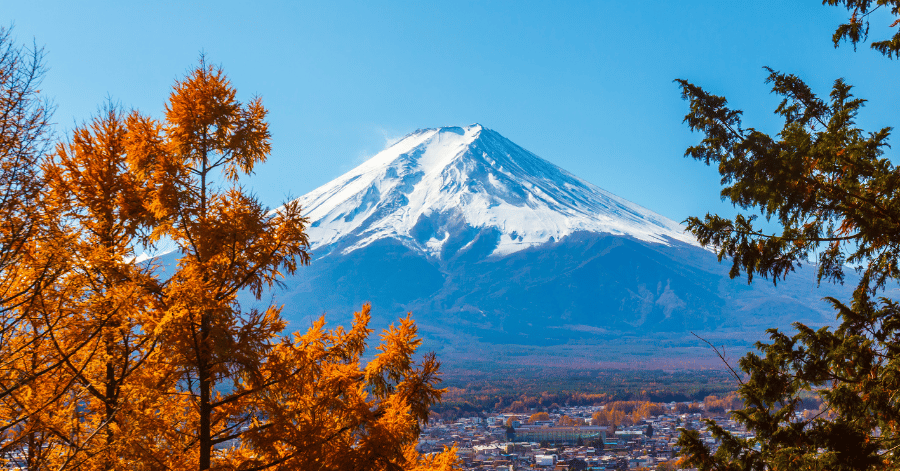 Snow-capped Mt Fuji framed by orange autumn leaves under a clear blue sky