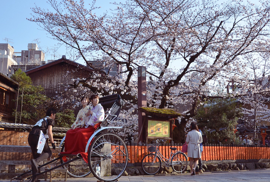 YouTrip's Sakura Forecast: Japan 2023 Cherry Blossom Season