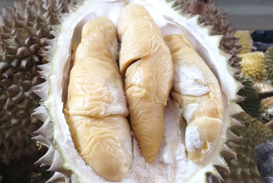 Tekka Durian