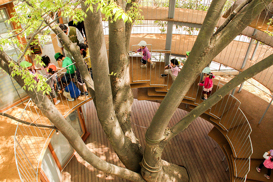 Fuji Kindergarten Ring Around The Tree