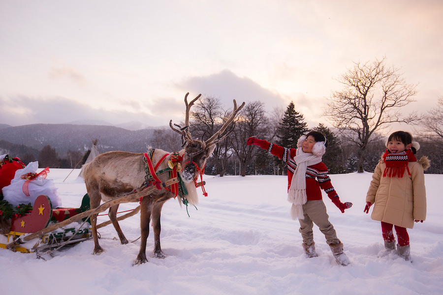 White Christmas Hokkaido Japan