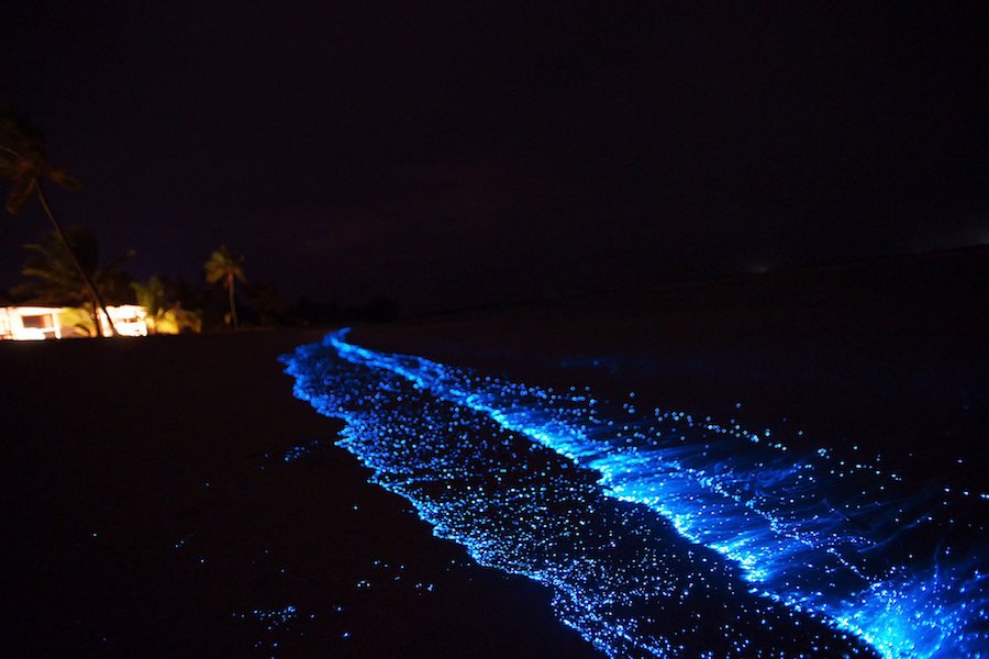 Sea of Stars beach, Vaadhoo Island Maldives Travel Bucket List