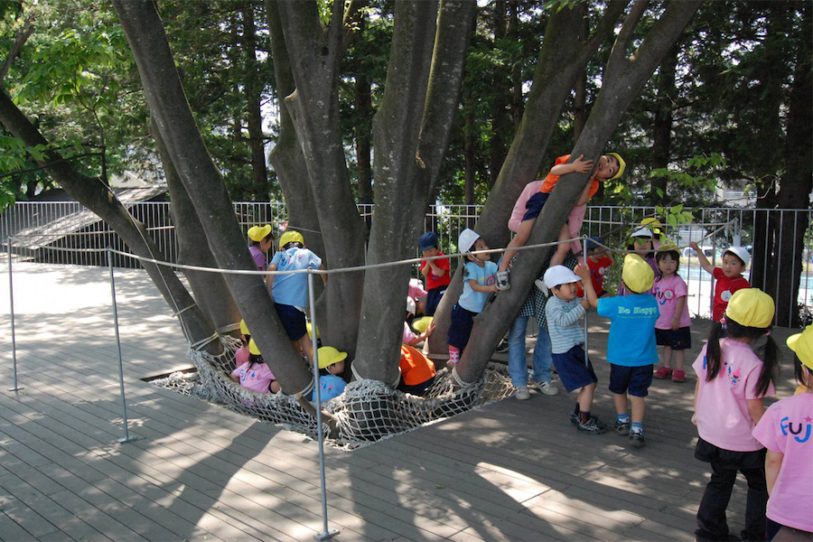 Fuji Kindergarten Tree Nets
