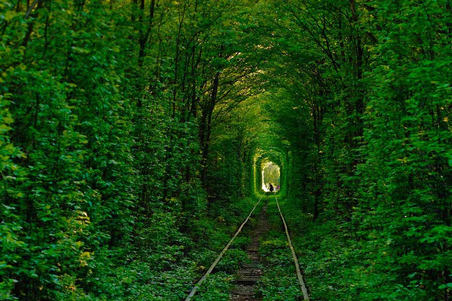 Tunnel of Love, Ukraine﻿ Travel Bucket List