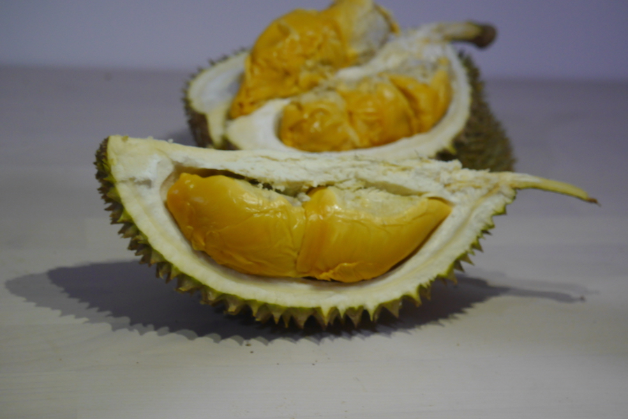 D13 Durian