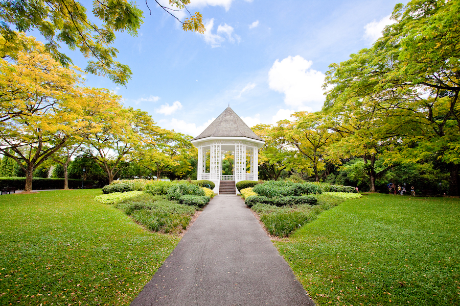 Botanic Gardens What to Do During a Layover in Singapore Guide