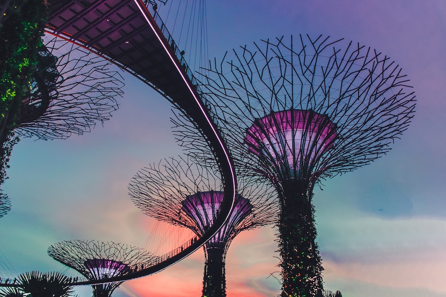 Supertrees Gardens by the Bay What to Do During a Layover in Singapore Guide