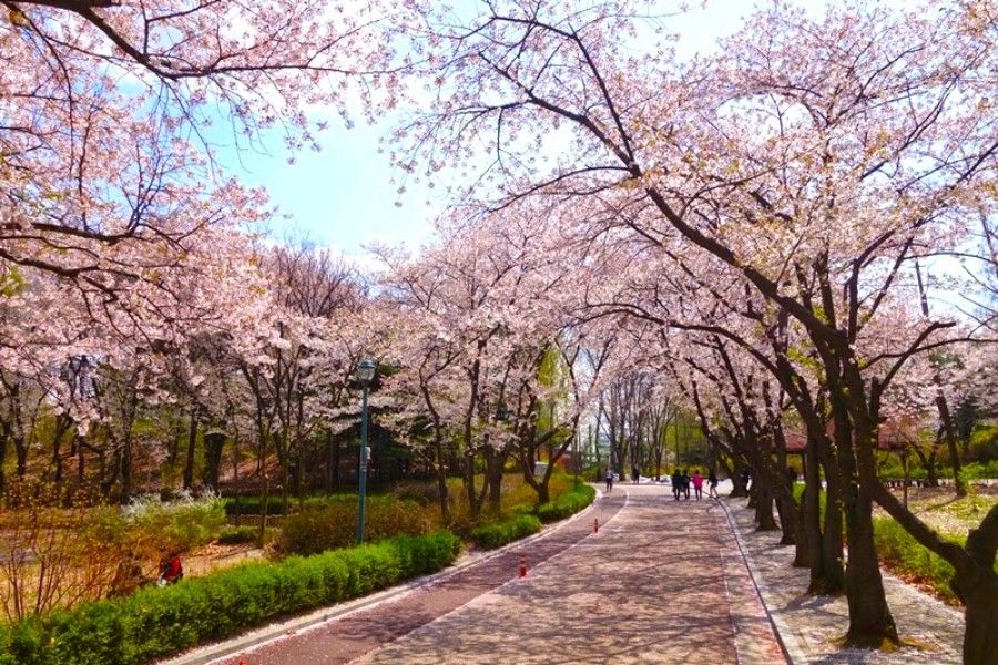 Seoul Itinerary Han River Park