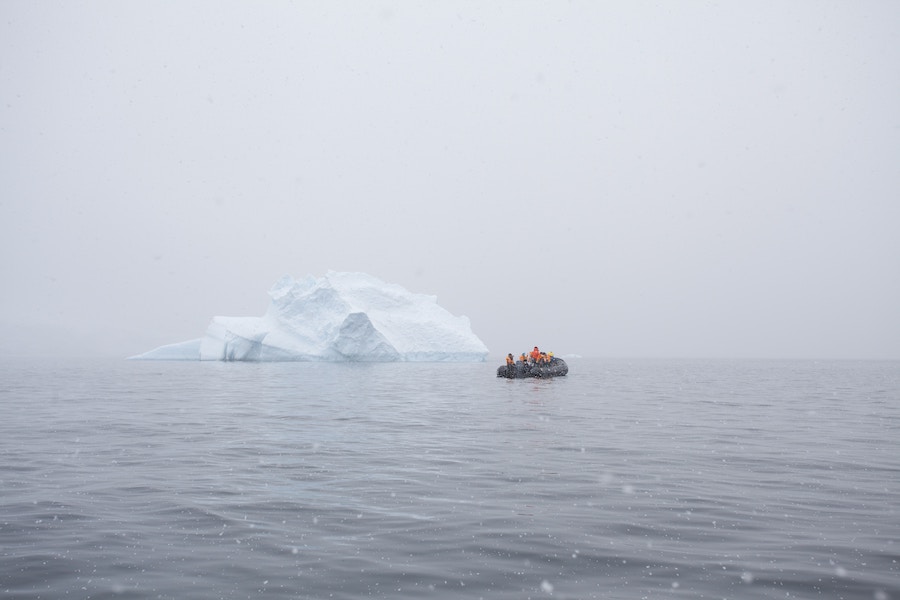 Antartica Exploration, Antarctic Sabbatical Airbnb Ocean Conservancy 