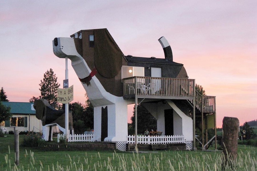 Top 6 Most Unique and Unusual Hotels In The World Dog Bark Park Inn