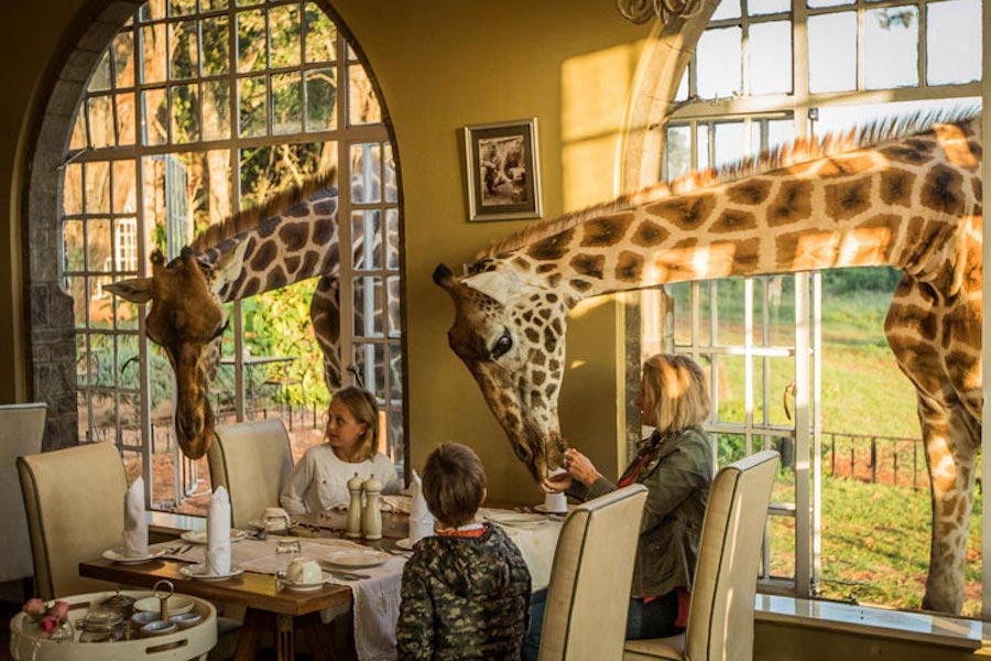 Top 6 Most Unique and Unusual Hotels In The World Giraffe Manor