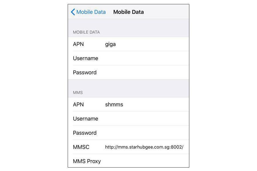 How to configure APN settings giga jetset pass