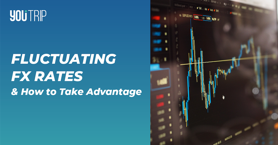 Fluctuating Foreign Exchange Rates & How to Avoid Them