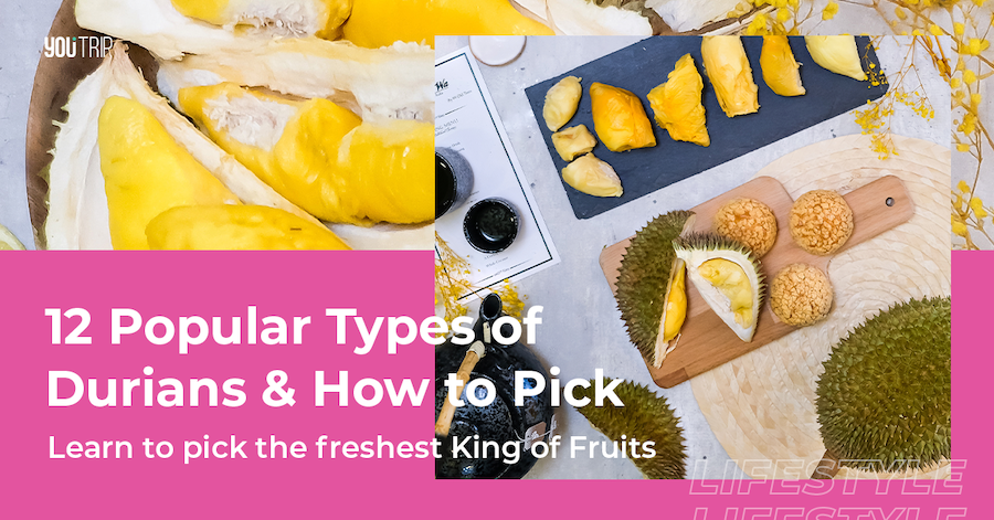 12 Types of Durians and How to Pick the Best Durian