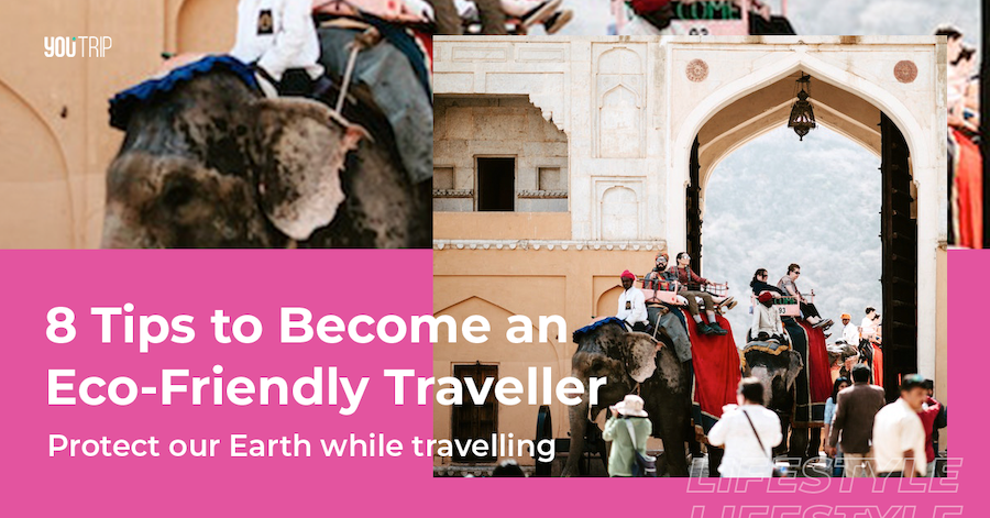 Sustainable Travel Guide: 8 Tips to Become a Green Traveller