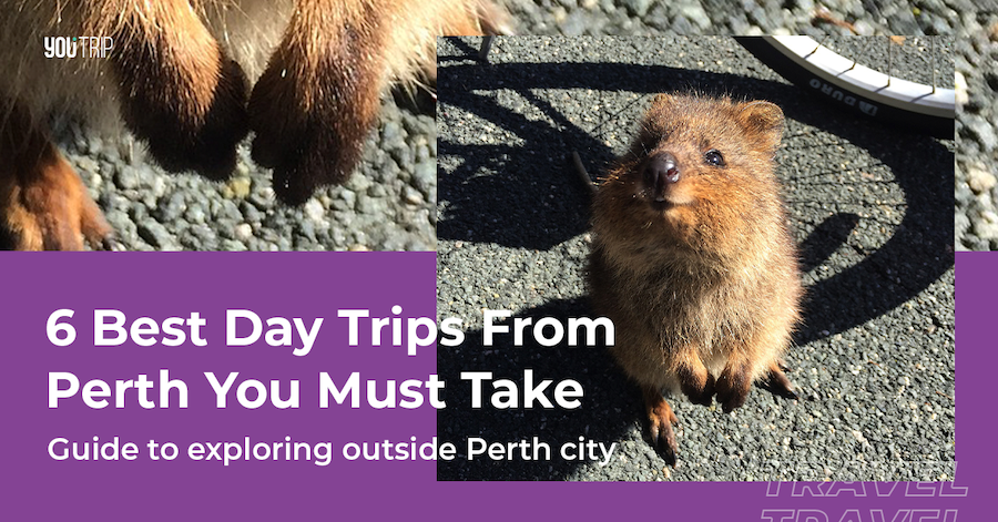 6 Best Day Trips From Perth Australia You Must Take