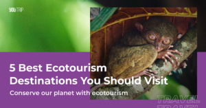 5 Best Ecotourism Destinations You Should Visit