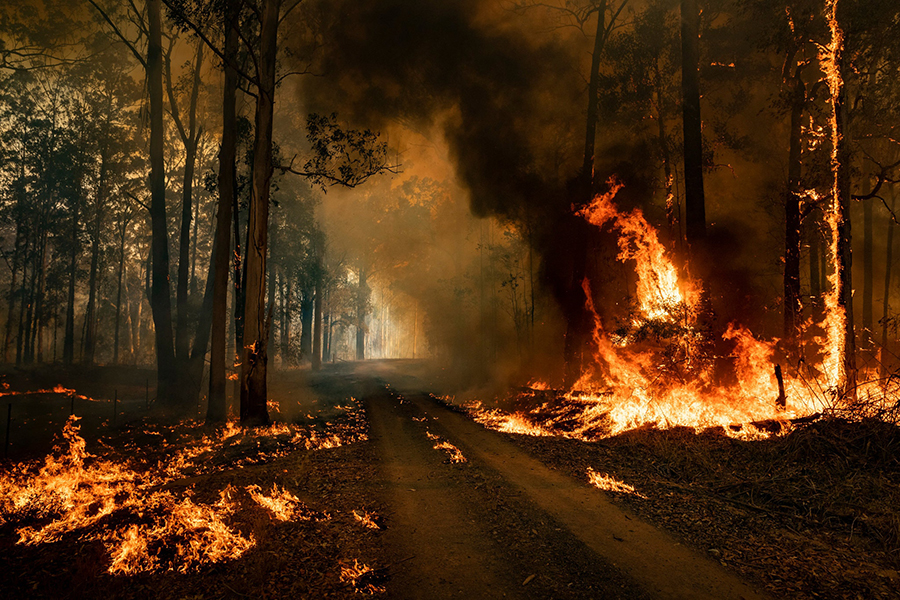 australia wildfire season scenery