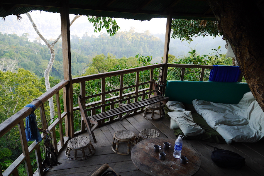 The Gibbon Experience, Laos﻿