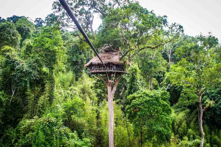 The Gibbon Experience, Laos﻿